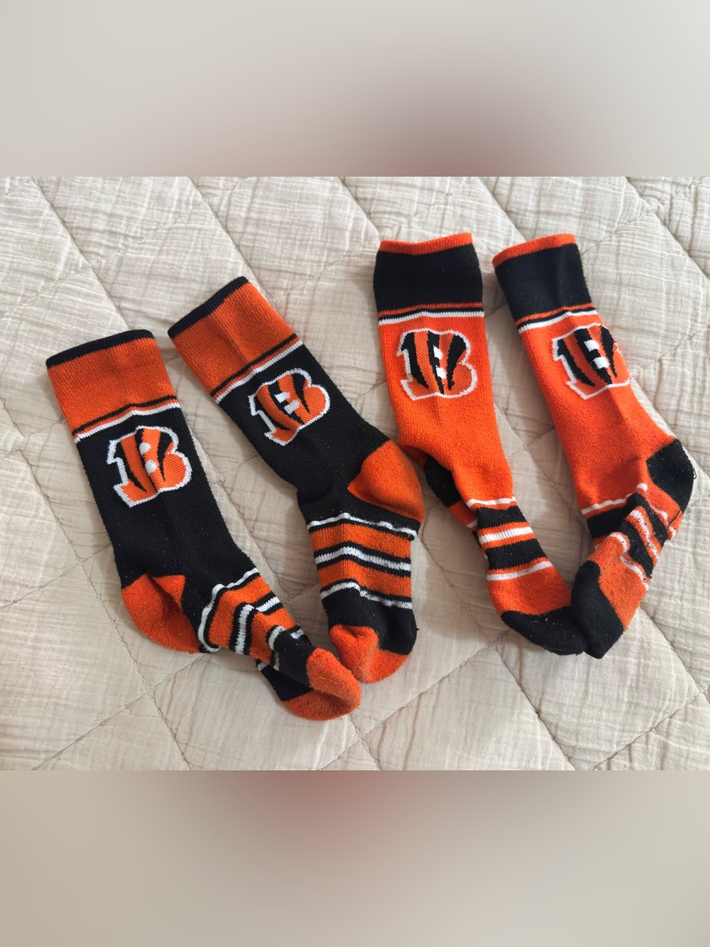 🏈Bengal Socks🏈